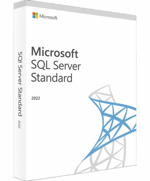 Microsoft SQL Server 2022 Standard Edition ROK Wortmann